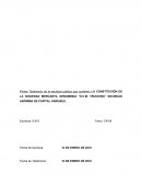 Acta Constitutiva apuntes varios