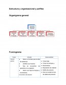 Estructura y organizacional y perfiles Organigrama