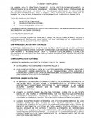 LA CORRECCION DE UN ERROR EN LOS ESTADOS FINANCIEROS DE PERIODOS ANTERIORES NO SE CONSIDERA UN CAMBIO CONTABLE.