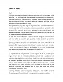 Diario de campo secundaria
