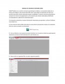 MANUAL DE USUARIO DE SOFWARE CIROS