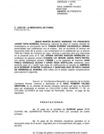 Demanda - juicio ejecutivo mercantil - Apuntes - Martin Blanco