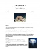 Portafolio ambiental