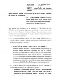 FORMULA OBSERVACION DE INFORME PERICIAL - Apuntes - mepoloc
