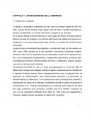 ANTECEDENTES DE LA EMPRESA ANTECEDENTES DE LA EMPRESA