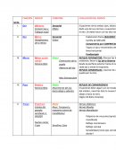 Tabla de pares craneales
