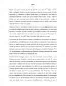 Análisis psicosocial acerca del Rock