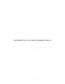 PROCEDIMIENTO ANTE ACCIDENTES LABORALES GRAVES