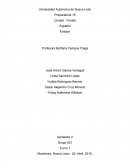 Ensayo Español. La monografia