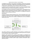 MODIFICACION DE CONDUCTA Y DAÑO CEREBRAL