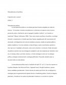 Ensayo mercadotecnia política (formato appa)