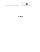 Caso Pasy Identifique y evalué el sistema de control de gestión.