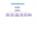 El Telar de Cerro S.A de C.V