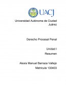 Derecho Procesal Penal Resumen