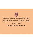 DESARROLLO SUSTENTABLE. Las políticas de Desarrollo Sustentable se basan en tres conceptos: económica, ambiental y social.