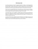 CONSEJOS COMUNALES EXPOSICION