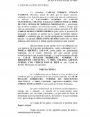 UICIO ORDINARIO CIVIL ACCION REIVINDICATORIA