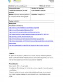 Operación efectiva y eficiente de la empresa de alto valor agregado. Actividad