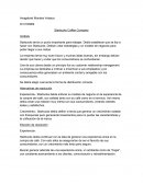 Starbucks Coffee Company Análisis