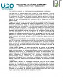 En contra de los OGM (organismos genéticamente modificados)