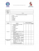 Investigación sobre la globalización