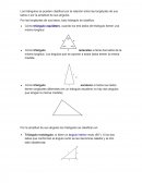 Los triángulos se pueden clasificar por la relación entre las longitudes de sus lados o por la amplitud de sus ángulos