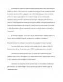 ESTRATEGIA CORPORATIVA las etapas