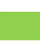 Los fallos y defectos de la mente son como las heridas en el cuerpo, aunque se empleen todos los cuidados imaginables para curarlas siempre quedará una cicatriz
