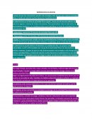 El Sedentarismo en Jóvenes