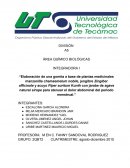 La Gmitas caramelizadas