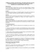 CORRIENTE GREMIAL DIGNIDAD DEL CONTADOR AMPARADA BAJO EL ESQUEMA EQUIPO DE CONTADORES ALINEADOS