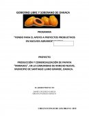 Proyecto Producción y comercialización de papaya “Maradol”