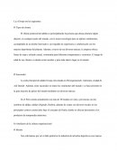 Adidas Group estrategias