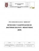 El Metodo de bacteria sulfato reductoras