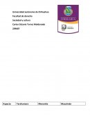 El nuevo Desarrollo de las habilidades motrices