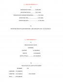 CASO RIO AMARILLO S.A´´