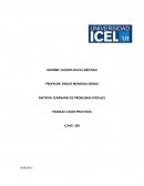 CASO PRACTICO I INSTITUCIONES POLTICAS
