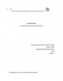 La conversación entre las neuronas