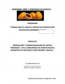 “PAPAYA MARADOL”. Página 1