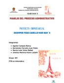 EL MEJOR PROYECTO EMPRESARIAL