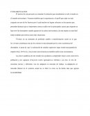 Operativa FUNDAMENTACION