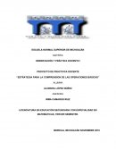 El nuevo Proyecto de práctica