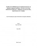 Tesis Presentada para optar la licenciatura de Ingeniero Industrial