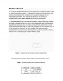 Como se da la Conversaciones en ingles