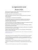 La organización social Álvaro D’Ors