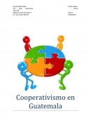 Negocios Internacionales. Cooperativismo en Guatemala
