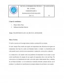 TRANSFERENCIA DE CALOR EN EL AHUMADOR