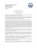 EL DIARIO DE BRIDGET JONES