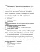 Las bases de la logística empresarial