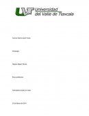 Reflexión y responde de acuerdo o no con cada uno y porque